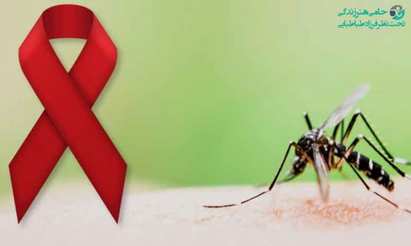 انتقال ویروس ایدز با نیش حشرات |  نیش پشه و انتقال بیماری ها